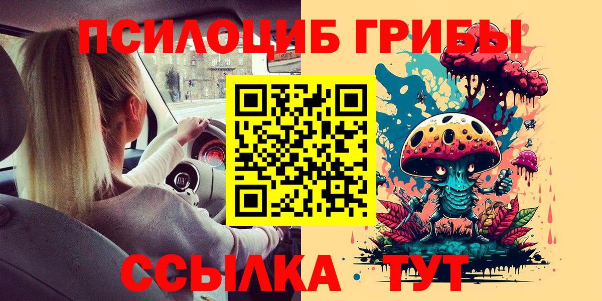 Псилоцибиновые грибы Psilocybe  Вход с VPN  Псилоцибиновые грибы мухоморы  Богданович 
