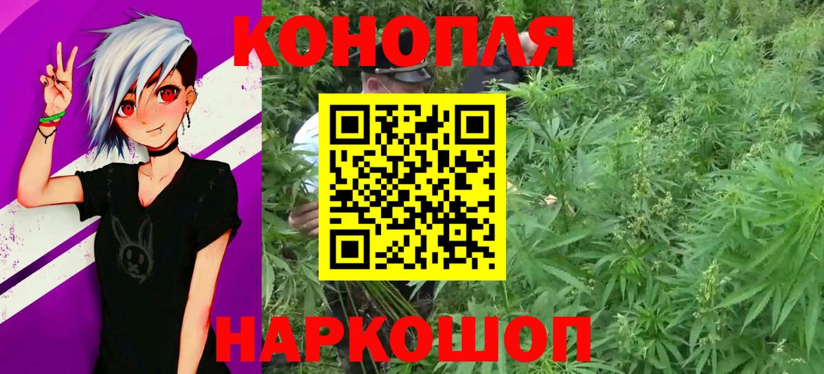 Шишки марихуана гибрид  Бошки марихуана SATIVA & INDICA  Богданович  Вход с VPN  Бошки марихуана ГИДРОПОН 